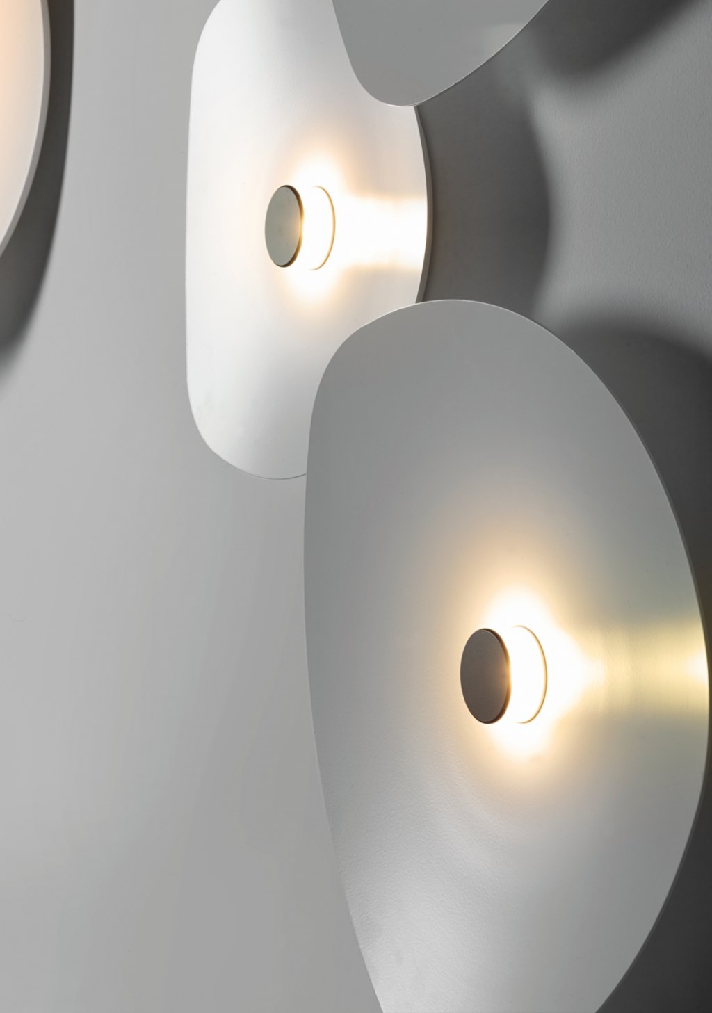 FLOWER4584 - immagine 5