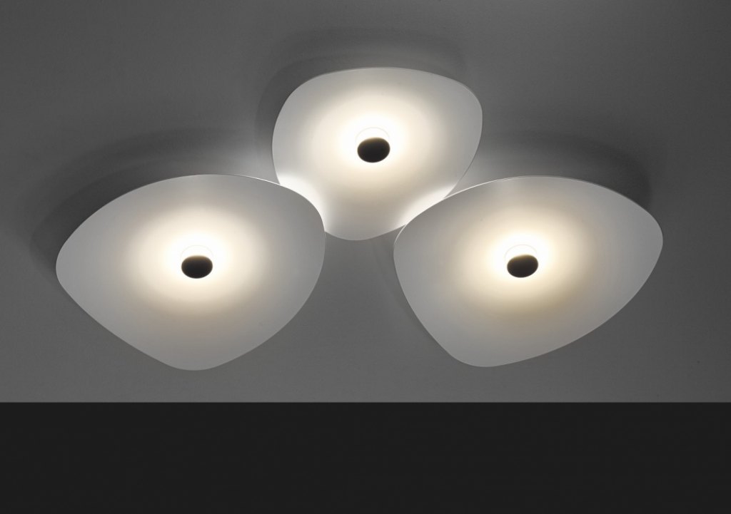 FLOWER4584 - immagine 7