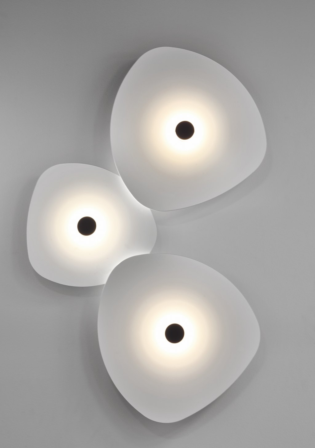 FLOWER4584 - immagine 6