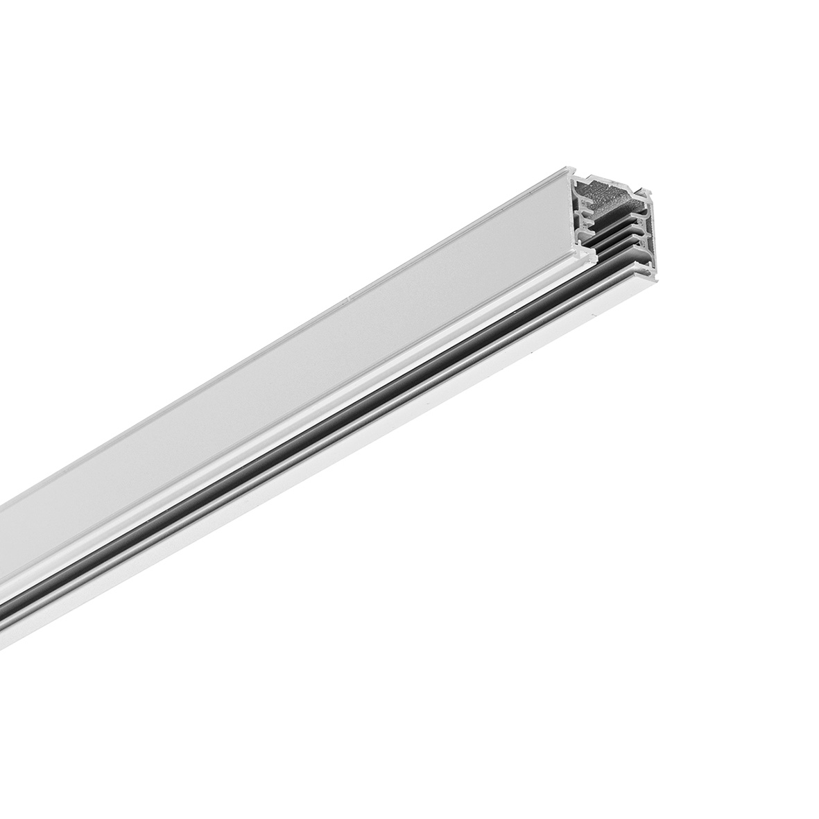 BINARIO ELETTRIFICATO 230V