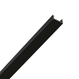 MODULO CIECO PER EBI - WASABI - NER